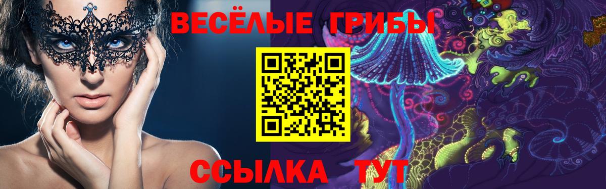как найти   Вход с VPN  Новотроицк  Галлюциногенные грибы прущие грибы 