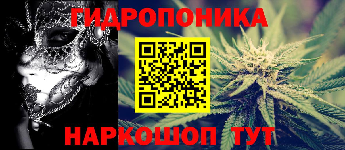 Шишки марихуана Ganja  Канабис план  Вход с VPN  Бошки Шишки конопля  Новотроицк 